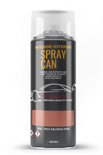 RAL 3022 Salmon pink Aerosol Spray Paint Matt Finish Indoor/Outdoor DIY Paint