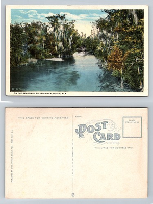 #ad Ocala FL Florida Silver River Steamboat Cypress Trees Vintage Postcard $0.99