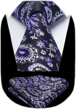 Ties for Men Paisley Tie and Pocket Square Woven Classic Floral Mens Ties Handke