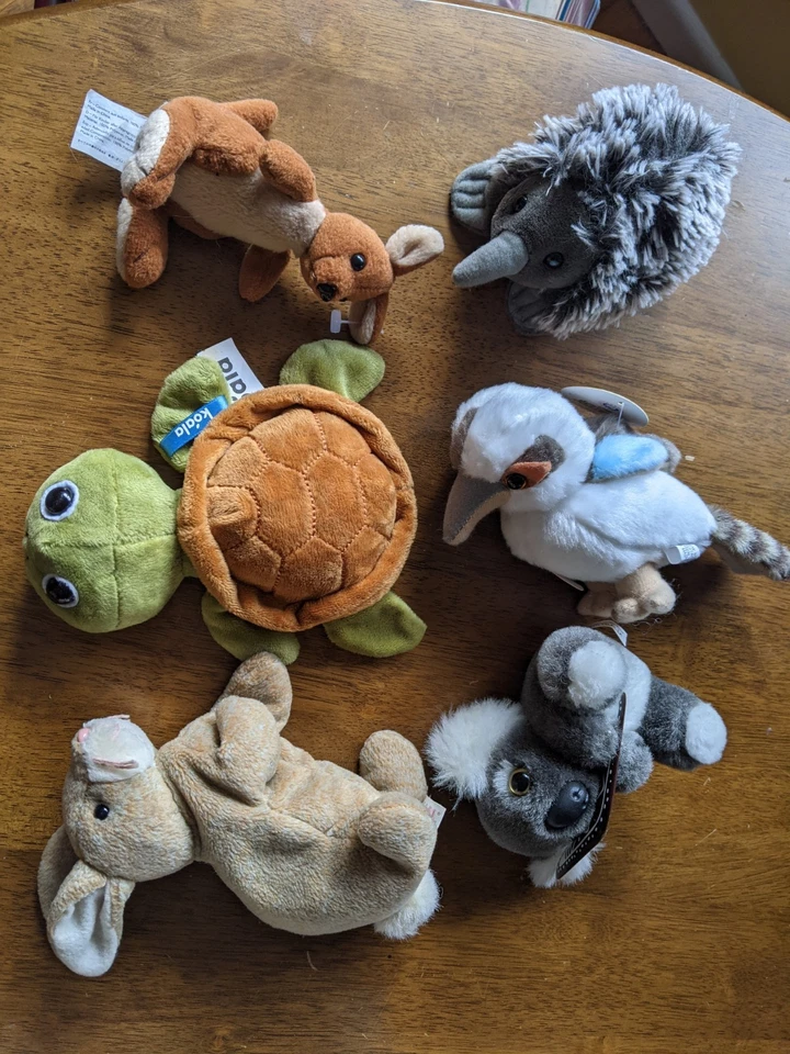 6 Australian Animals SOFT TOY LOT Kookaburra Koala Kangaroo Echidna TurtleRabbit - image 2 of 4