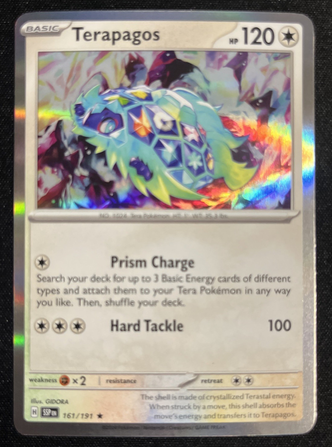 Terapagos  161/191 Holo Rare Surging Sparks Pokemon Card NM