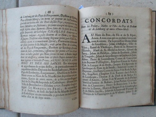La joyeuse entrée de CHARLES DUC DE BRABANT ET DE LIMBOURG. Bruxelles, 1725. - Picture 10 of 19