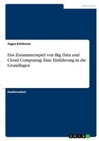 Das Zusammenspiel Von Big Data Und Cloud Computing. Eine EinfüHrung In Die Grund