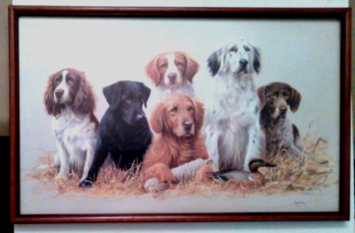 James Killen SCHOOL DAZE PUPPIES now ADULT CLASS REUNION Duck