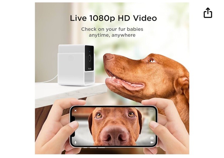 Petcube Cam Pet Monitoring Camera with Built-in Surveillance-image