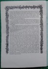 Bild 7 von 22