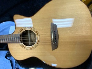 Washburn  WCG70SCEG-O ITEM # 17