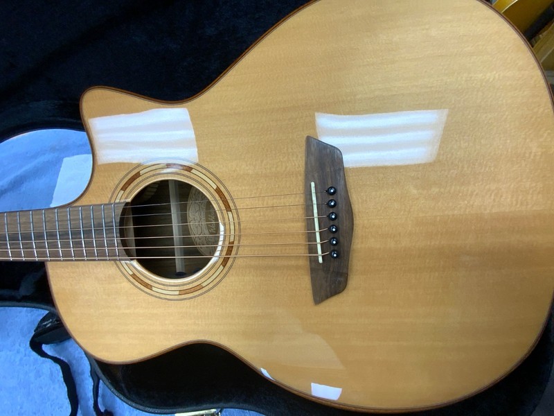 Washburn  WCG70SCEG-O ITEM # 17