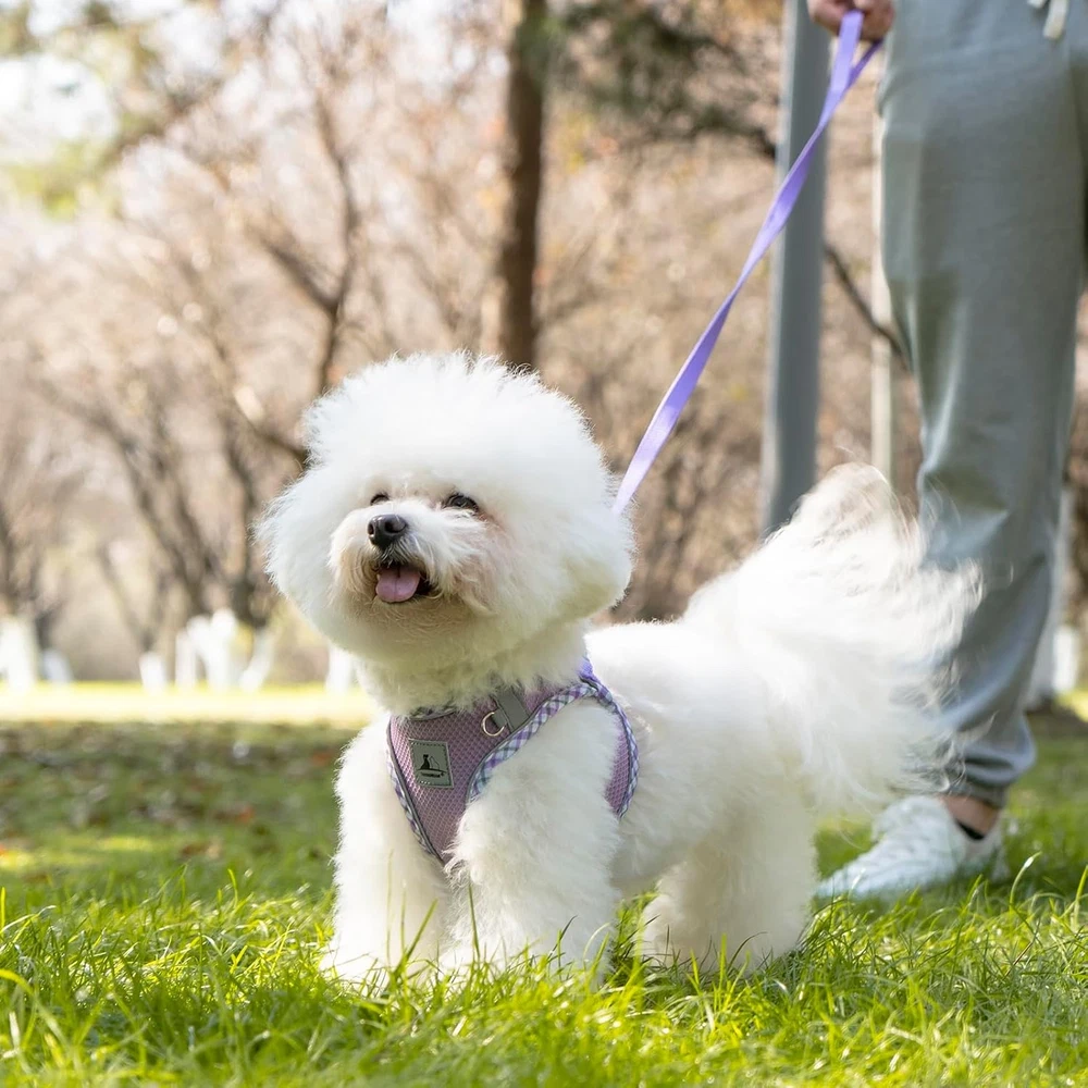 Dog Harness and Leash Set, No Pull Pet for Small Dogs Easy M, purple Dog Harness and Leash Set, No Pull Pet for Small Dogs Easy M, purple