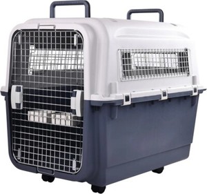 NEW XL Transporteur de chiens en plastique approuvé par Airline pour chiens de voyage Cats