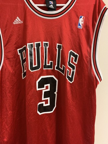 Chicago Bulls Vintage #3 Ben Wallace Jersey SIZE L - Picture 3 of 6