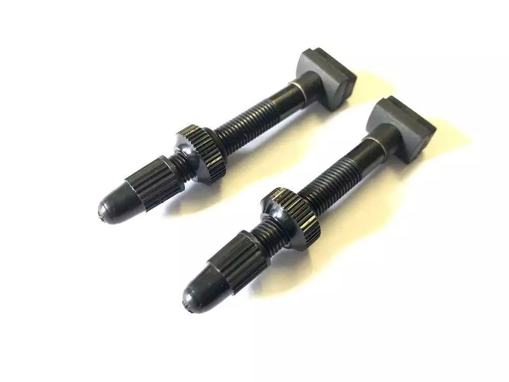 Giant cheap tubeless valve