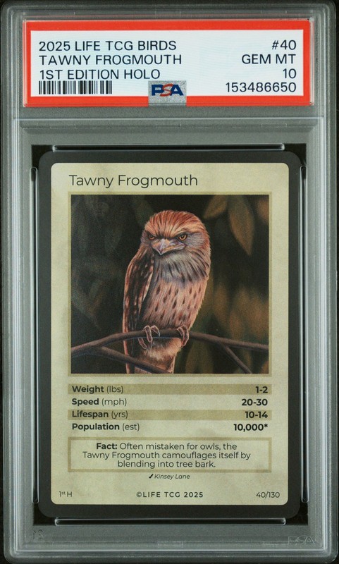 TAWNY FROGMOUTH 2025 LIFE TCG BIRDS 1ST EDITION HOLO #40 /10000 PSA 10 POP 2