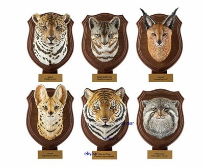 Animal Heavenly Body World Animals Series 1 Resin Figurine Model Limited Statues