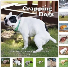 Gag Gifts - 2026 Wall Calendar, White Elephants Gifts, Pooping Dogs, Dogs Poopin