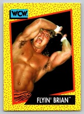 1991 Impel WCW - Flyin' Brian #55