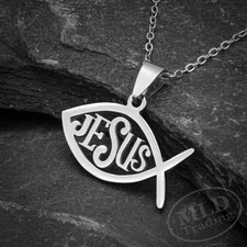 Jesus Fish Pendant Necklace – Stainless Steel Christian Ichthys Symbol 20” Chain