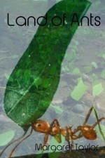 Land Of Ants