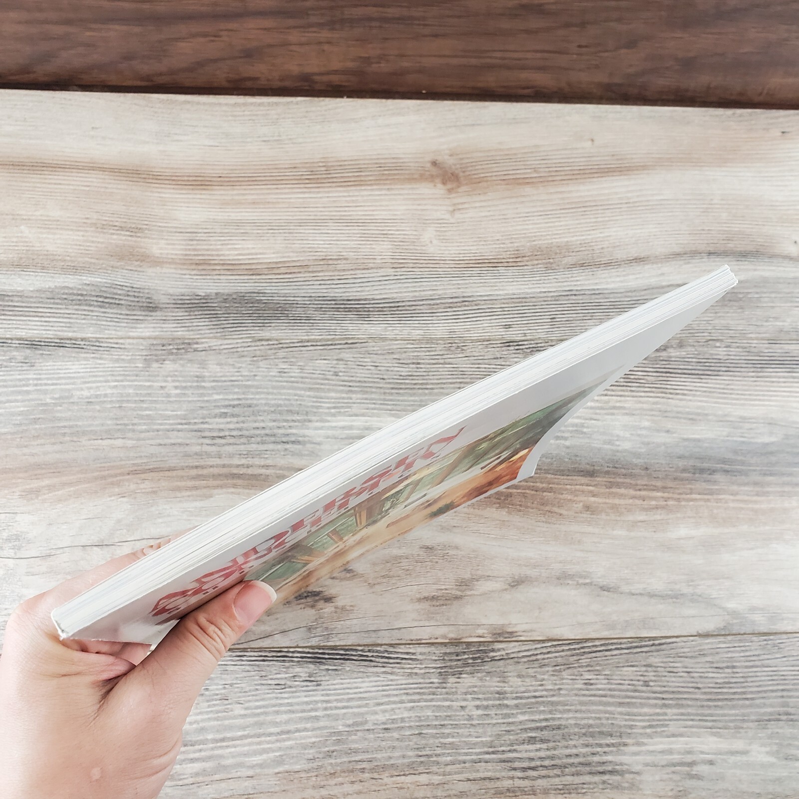 Andersen Concept IV Sunspaces Designing with Windows in mind Andersen Windowall