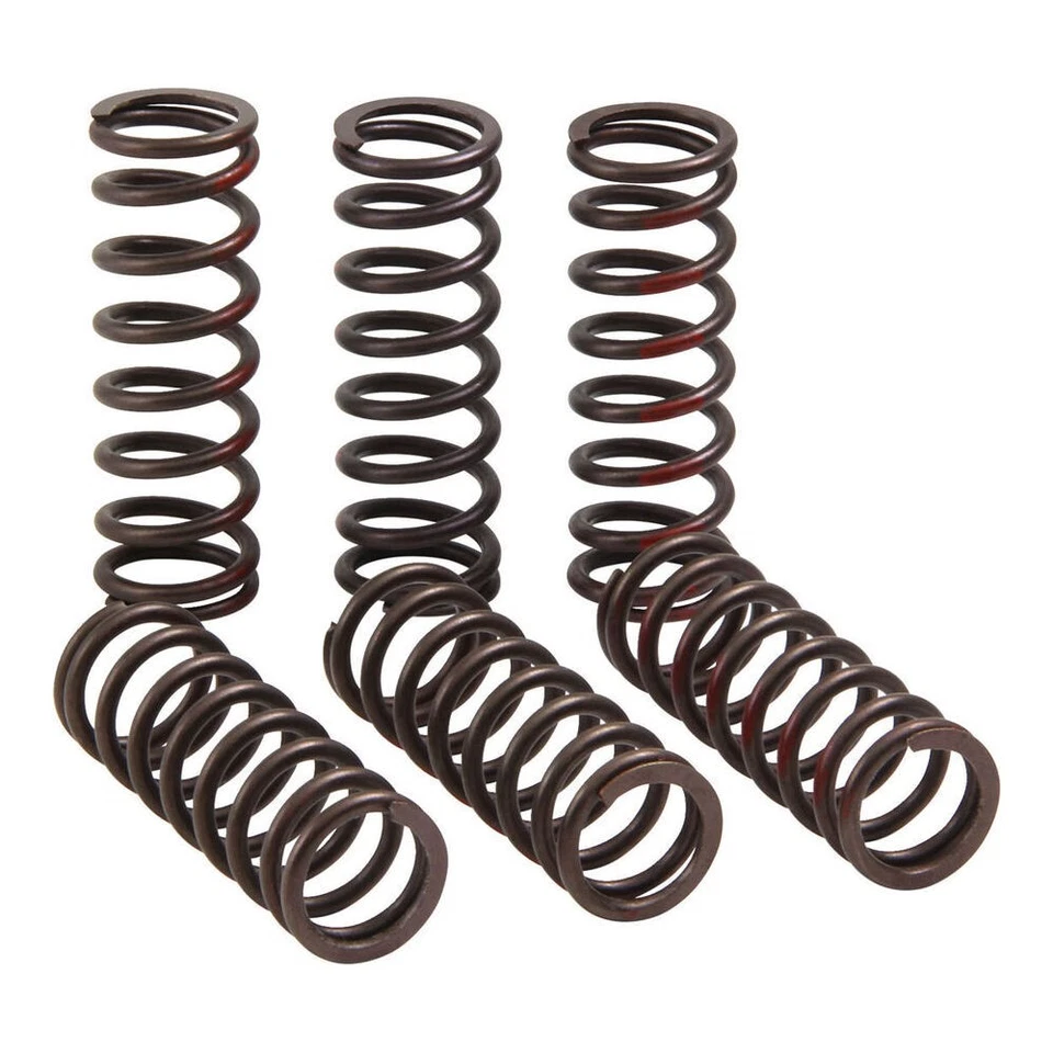 Juego de muelles de embrague Pro Circuit CLUTCH SPRING CRF450R Foto 2 de 4