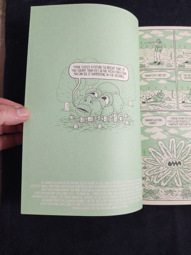 Safari Honeymoon Jesse Jacobs Koyama Press NM 1st Print First Edition May 2014 - Picture 10 of 24