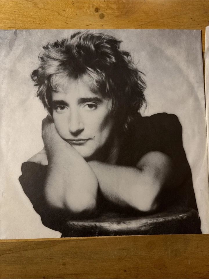 ROD STEWART GREATEST HITS VINTAGE VINYL RECORD HS 3373 WARNER BROS RECORDS - Image 4 of 4