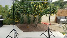 Trimax Pro Cinema Stand Code A3309P -IN GREAT CONDITION