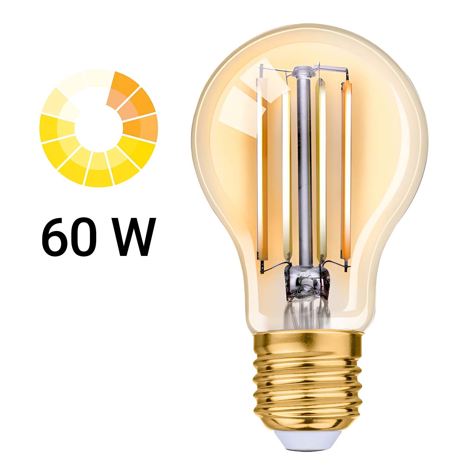 Ampoule connectée Wi-Fi Alpina E27 variable 4.9W basse consommation - 3