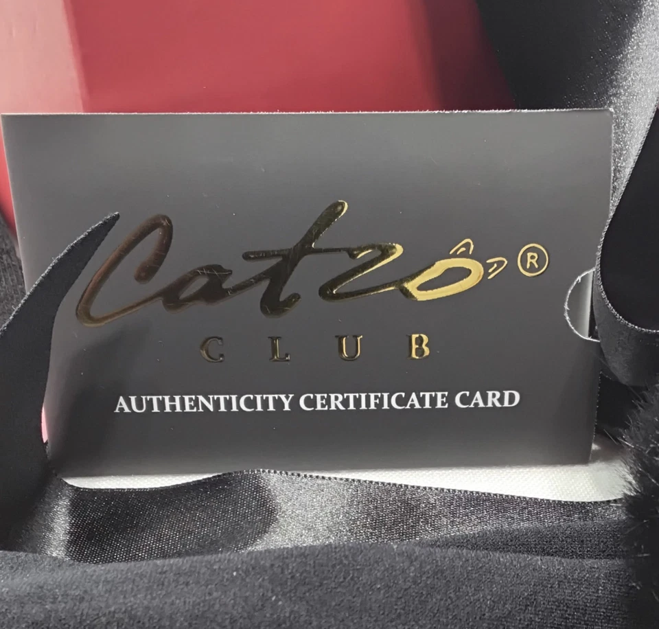 Juego de cola de gatito negro Catzo Club con orejas, patas y medias cosplay diversión íntima Foto 2 de 4