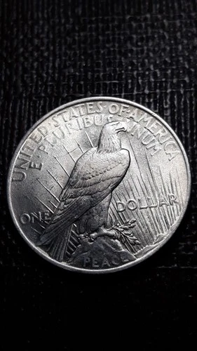 1924  Peace Silver Dollar    SM-70 D    (I don't collect them--Good Luck)
