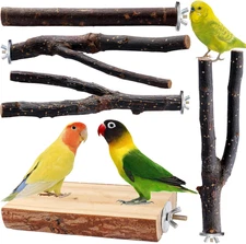 Bird Toys Parakeet Perch Budgie Perch Wood Stand Fork Toys Multi-Branch Perch Pl