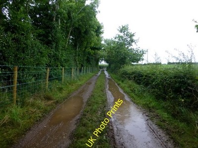 Photo 6x4 Muddy lane, Galbally An Oghmagh This is where I was glad to hav c2016