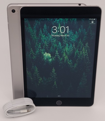 Apple iPad mini 4 7.9" MK9N2LL/A A1538 128GB Wi-Fi Space Gray