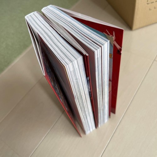ONE PIECE FILM RED Comic Manga Vol.1-2 Book set UTA Luffy Eiichiro Oda Japanese - 第 4/5 張圖片