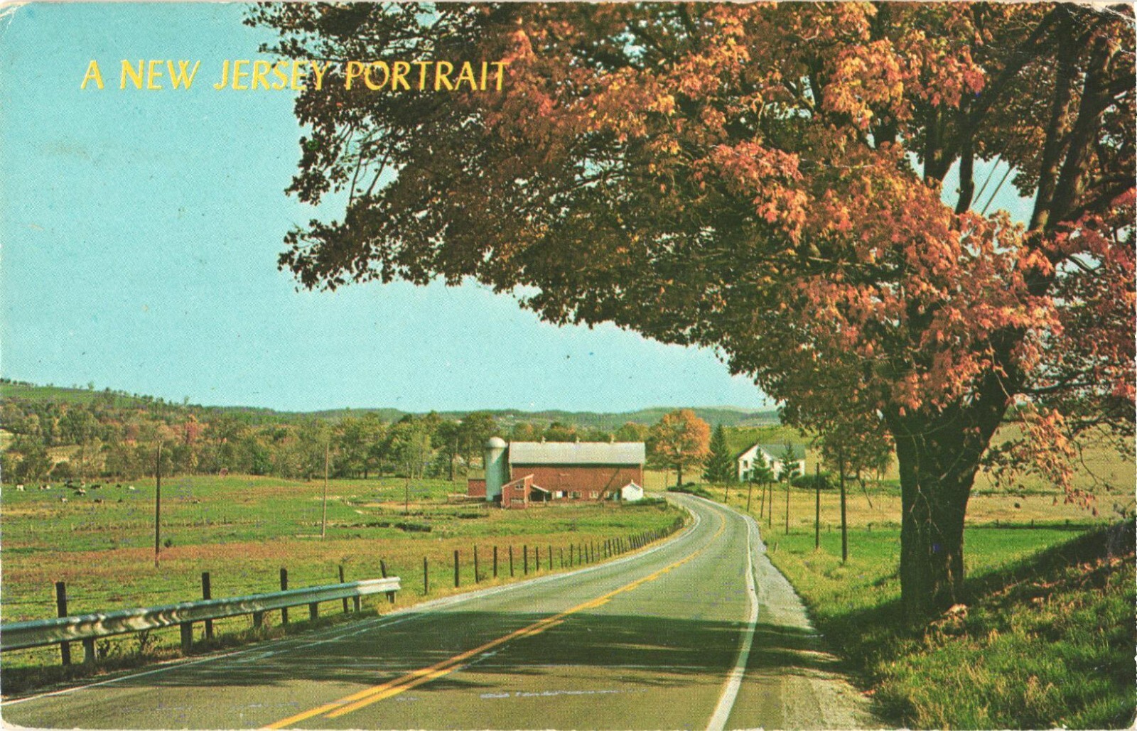 A New Jersey Portrait, Route 565 in Sussex County, New Jersey Postcard