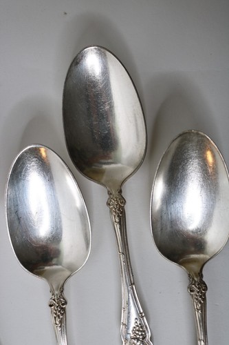 Four 1847 Rogers Bros Vintage Grapes Large Serving Spoons 8 1/4" - Picture 5 of 10