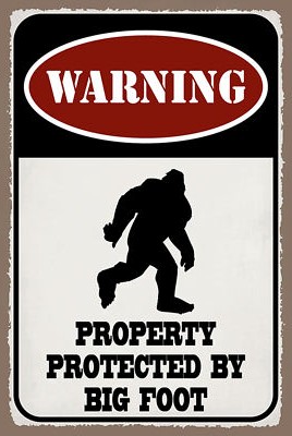 Holzschild 18x12 Warning property protected by Wand Deko Bar Kneipe Sammler Gesc