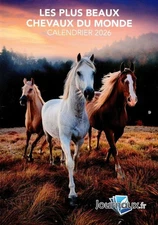 LES PLUS BEAUX CHEVAUX DU MONDE CALENDRIER   23 12  2025