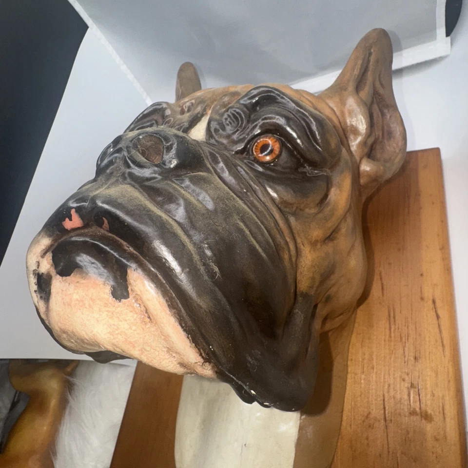mid-century decorative item vintage statue or plaque of a Boxer dog's head - Image 4 of 4