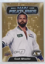 2022 AEW All Elite Wrestling Main Features Gold Dash Wilder Cash Wheeler 11pj