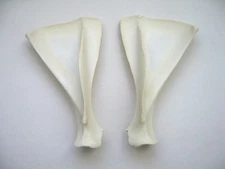 Matched Pair of Real Deer Scapulae Fawn Animal Bones Taxidermy Shoulder Blades