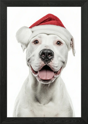 Dogo Argentino Dog with Santa Hat P Framed Wall Art Poster Canvas Print Picture