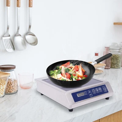 MARKENLOS Induktionskochplatte Kochplatte Induktion Herd Kochfeld Gastro Cooker 3500W NEU