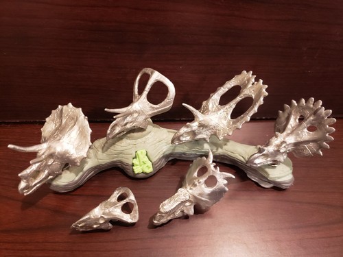 4 Miniature Dinosaur skulls, Ceratopsians - Picture 9 of 12