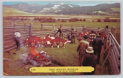 Vintage New Mexico Museum Old West Cowboy Cattle Round Up Postcard Rembrant