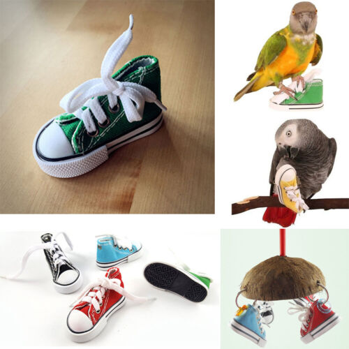 Mini Shoes Bird Toy Parrot Cage Hanging Craft Toys Cockatiel Foot Toys - Zdjęcie 1 z 12