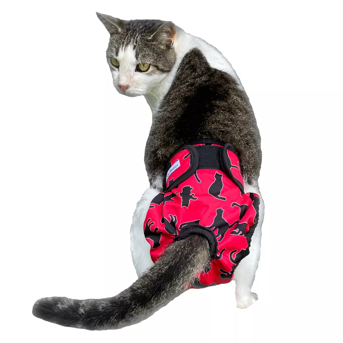 Red Kitty Knickers Washable Cat Pants - Diaper Nappy Physiological Stud  Undies