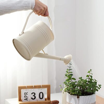 Watering Can for Indoor Plants Flower with Sprinkler Head 68 oz, 1/2  Gallons | eBay