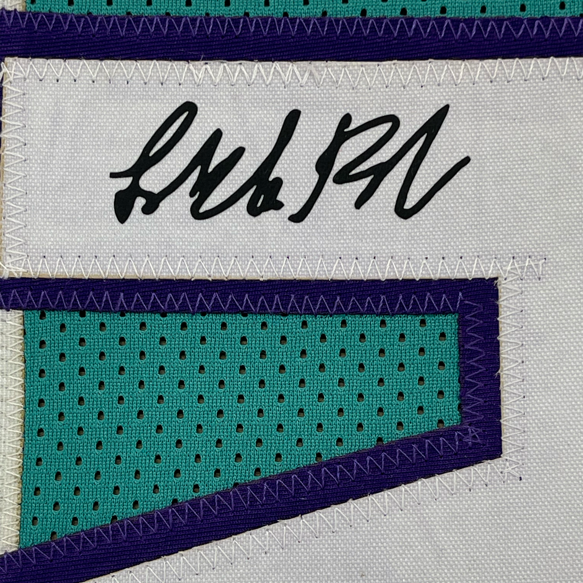 Framed Facsimile Autographed LaMelo Ball 33x42 #2 Teal Reprint