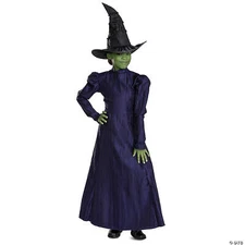 Kids' Wicked Halloween Deluxe Costume Elphaba Medium